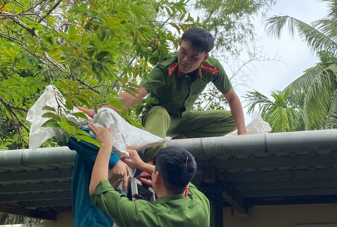 Quân đội, công an huy động 100% quân số ứng phó bão số 9 Lực lượng thuộc Bộ chỉ huy Quân sự tỉnh TT-Huế giúp dân gia cố, giằng chống, lợp lại nhà cửa trước khi bão số 9 đổ bộ.