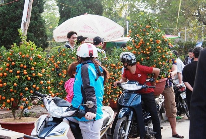 Vì sao Huế bất ngờ cấm họp chợ hoa Tết trên vỉa hè nhiều phố trung tâm? Vỉa hè nhiều tuyến phố trung tâm tại Huế sẽ không còn là điểm "họp chợ" hoa Tết như các năm trước, nhằm để bảo đảm giao thông, trật tự đô thị.