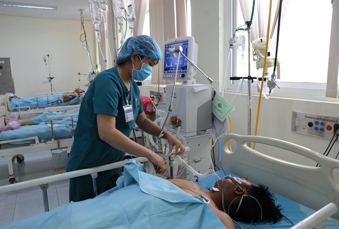 6 người nhập viện, 2 người nguy kịch vì ngộ độc cá nóc 6 người nhập viện, 2 người nguy kịch vì ngộ độc cá nóc