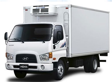 THẾ GIỚI 24H: Đức phát hiện 31 người di cư trốn trong xe tải chở hàng đông lạnh Ảnh minh họa: Xe chở hàng đông lạnh