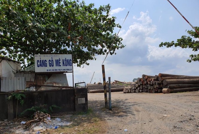 Đất công bị chiếm giữ như chốn không người ở TPHCM, Bình Dương Đất công bị chiếm giữ như chốn không người ở TPHCM, Bình Dương