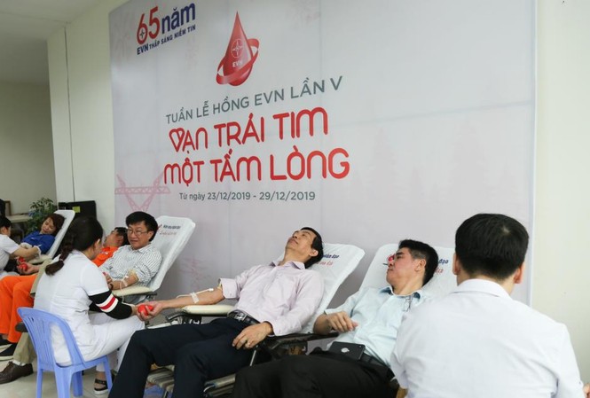 Tuần lễ hồng EVN thu hơn 400 đơn vị máu chia sẻ với người bệnh Tuần lễ hồng EVN thu hơn 400 đơn vị máu chia sẻ với người bệnh