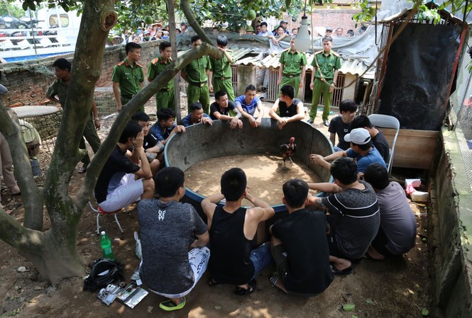 Liên tục bắt các đối tượng đá gà ăn tiền tại Bắc Ninh, Bắc Giang Công an huyện Thuận Thành (Bắc Ninh) bắt quả tang các đối tượng đánh bạc dưới hình thưc đá gà