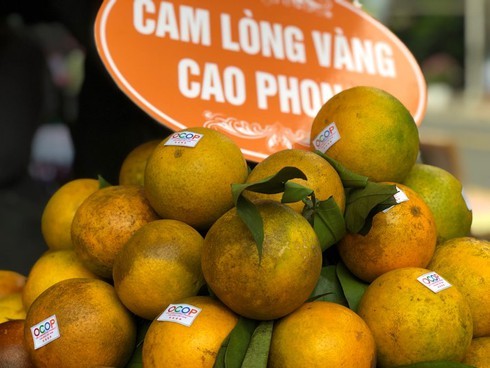 Cam ngoại 'tấn công', cam Cao Phong giảm giá chính vụ Cam Cao Phong chính vụ nhưng giá rẻ được bày bán tại nhiều siêu thị ở Hà Nội