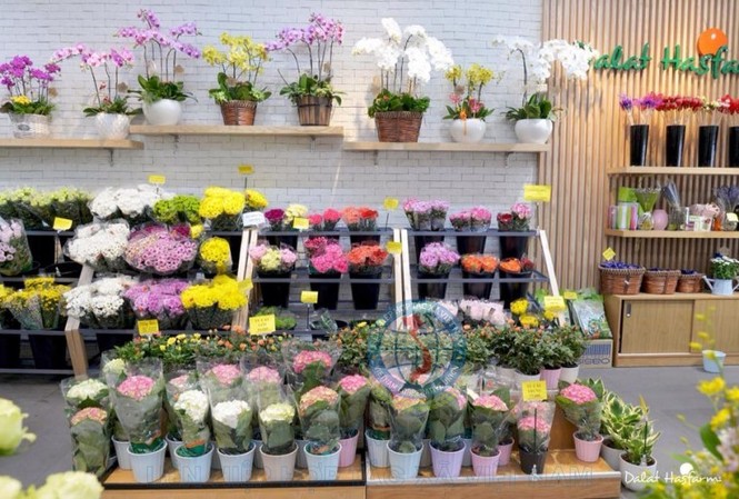Chị em từ chối nhận hoa, quà 20/10 để gửi tặng miền Trung Nhiều phụ nữ từ chối nhận hoa để gửi ủng hộ người dân miền Trung.