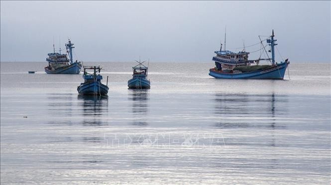 Việt Nam thực hiện nhiều khuyến nghị của EC liên quan đánh bắt IUU Tàu cá neo đậu ở huyện đảo Phú Quốc, tỉnh Kiên Giang. Ảnh: TTXVN.