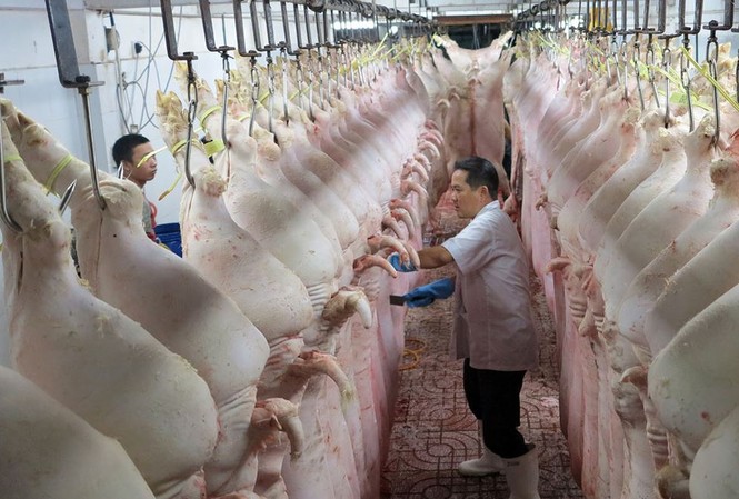 Cảnh báo doanh nghiệp tham gia, tiếp tay cho buôn lậu thịt lợn qua biên giới Bộ NN&PTNT đề nghị các doanh nghiệp không tham gia, tiếp tay cho các hoạt động buôn lậu thịt lợn, tổ chức tái đàn đảm bảo an toàn sinh học để bổ sung nguồn cung trong thời gian tới.