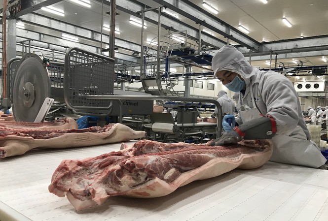 Thêm nhiều “ông lớn” đầu tư vào ngành nông nghiệp Tổ hợp chế biến thịt MEAT Hà Nam của Masan- đơn vị đầu tiên và duy nhất tại Việt Nam cho đến nay được chứng nhận Tiêu chuẩn Toàn cầu BRC trong lĩnh vực chế biến thịt tươi.