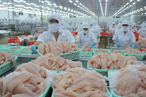 Hệ thống kho lạnh quá tải, không còn chỗ chứa cá tra, tôm Hệ thống kho lạnh của các DN thủy sản hiện đã đầy, không còn chỗ để chứa thêm nguyên liệu cá tra, tôm thu mua của dân.