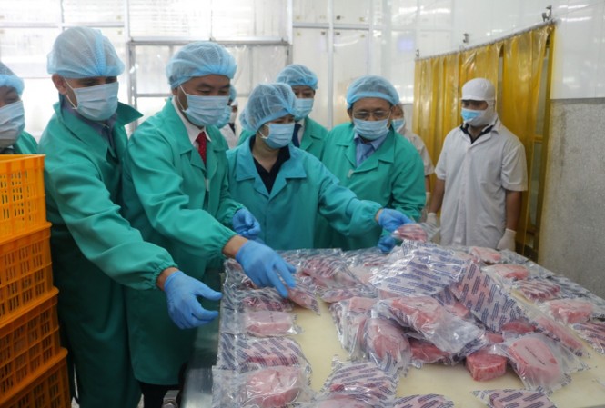 Việt Nam nỗ lực khắc phục 'thẻ vàng' IUU của EC Hiệp định EVFTA là cơ hội để Việt Nam tăng xuất khẩu cá ngừ vào EU