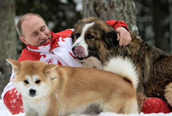Thú cưng siêu đáng yêu của các lãnh đạo thế giới Tổng thống Nga Vladimir Putin cùng 2 chú cún cưng Yum và Buffy
