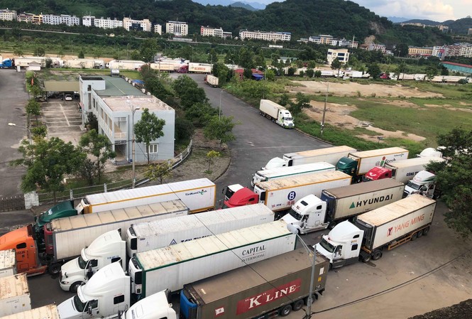 500 xe container thanh long ùn ứ tại cửa khẩu Lào Cai Hàng trăm xe container đang ùn ứ tại Cửa khẩu Quốc tế đường bộ số II Kim Thành.