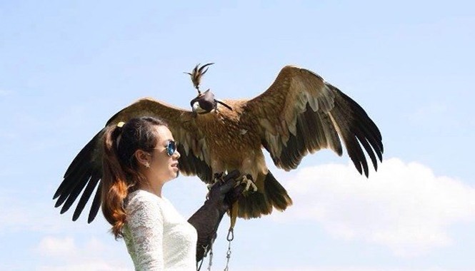 Nuôi chúa tể bầu trời: Thú chơi cũng lắm công phu Một thành viên nữ với chú đại bàng trên tay.