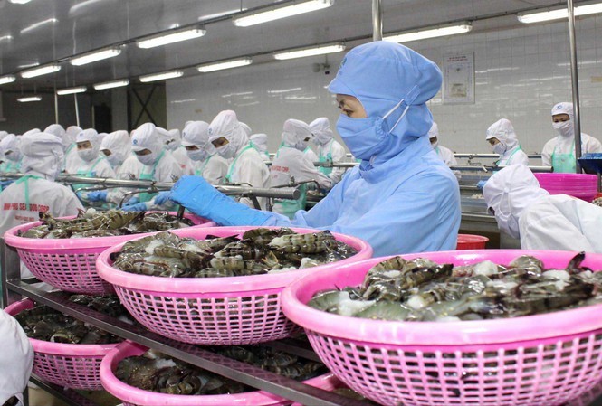Nghị viện châu Âu thông qua EVFTA: Rộng cửa xuất khẩu cho hàng Việt Nhiều mặt hàng thủy sản của Việt Nam sẽ rộng cửa hơn vào EU khi Hiệp định EVFTA có hiệu lực
