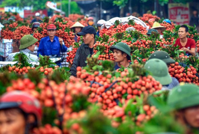 5 nhóm ngành, mặt hàng giúp Việt Nam hưởng lợi nhiều nhất từ RCEP Các ngành viễn thông, công nghệ thông tin, dệt may, giày dép và nông nghiệp là những lĩnh vực Việt Nam hưởng lợi khi tham gia RCEP