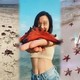 Dân mạng chỉ trích mạnh mẽ việc 'sống ảo' khiến sao biển chết khô