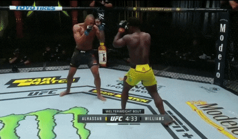 Năm pha knock-out hay nhất MMA trong tháng 11