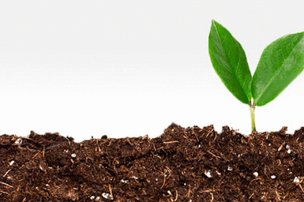 1001 thắc mắc: Vì sao đất có màu nâu?