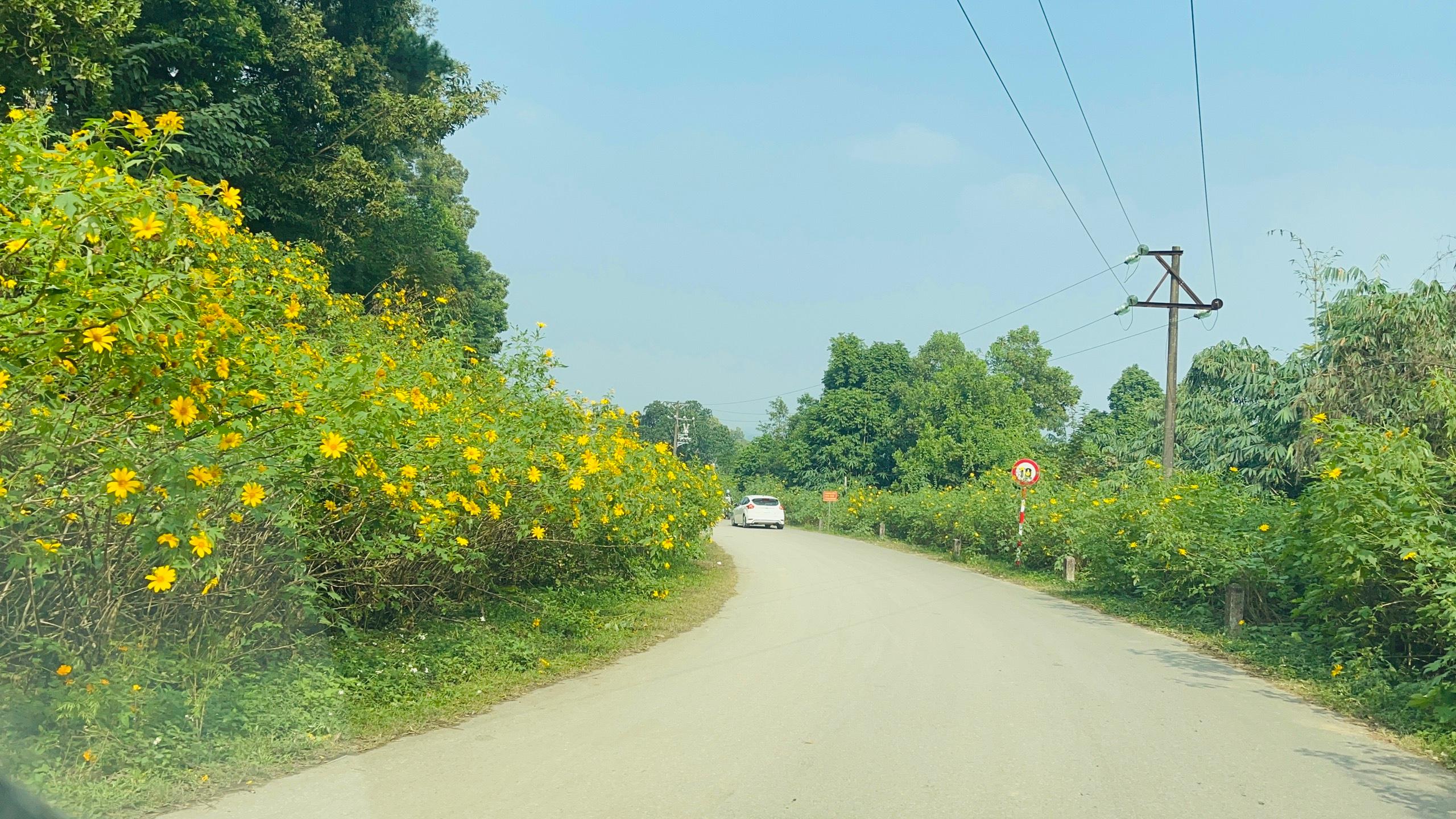 Du lịch