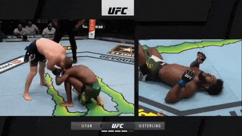 Nhà vô địch UFC bị xử thua sau pha phạm lỗi ngớ ngẩn ảnh 1