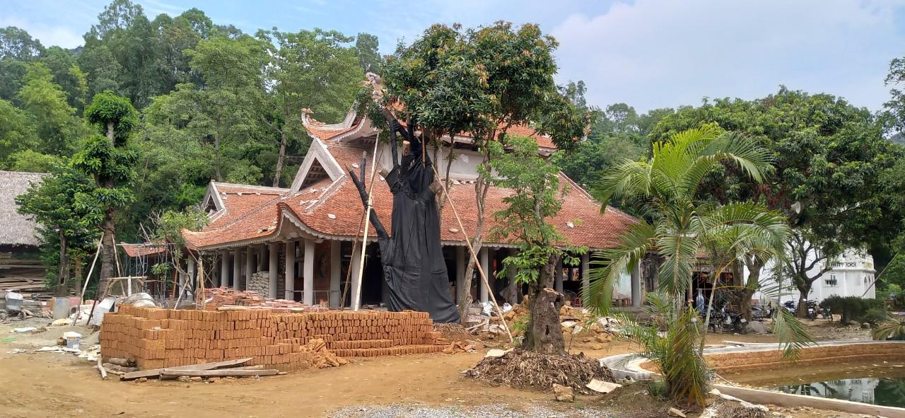 Quản lý - Quy hoạch