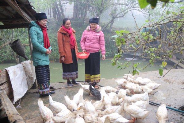 Lao động - Việc làm