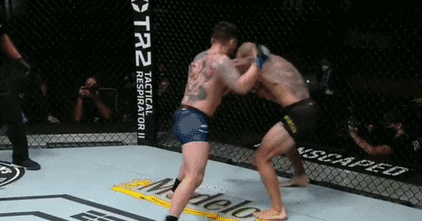 ‘Sát nhân’ UFC tung 4 cú đấm trời giáng khiến đối thủ ngã ngửa