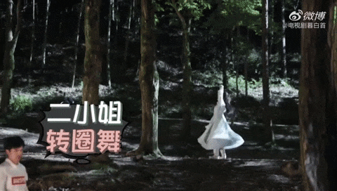 Nhậm Gia Luân, Trương Tuệ Văn không khác gì ''dancer'' ở hậu trường ''Mộ Bạch Thủ'' - ảnh 3