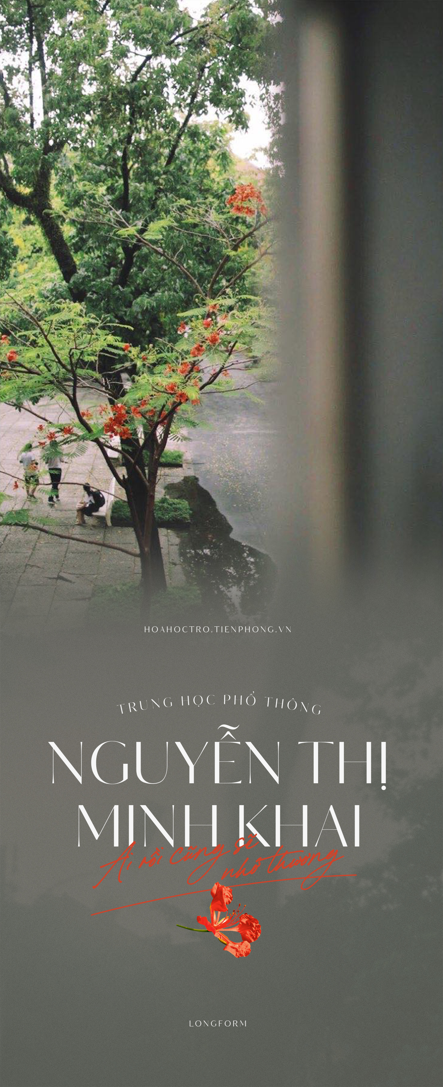 Ngôi trường trong mơ: THPT Nguyễn Thị Minh Khai - Ai rồi cũng sẽ nhớ thương! Ngôi trường trong mơ: THPT Nguyễn Thị Minh Khai - Ai rồi cũng sẽ nhớ thương!