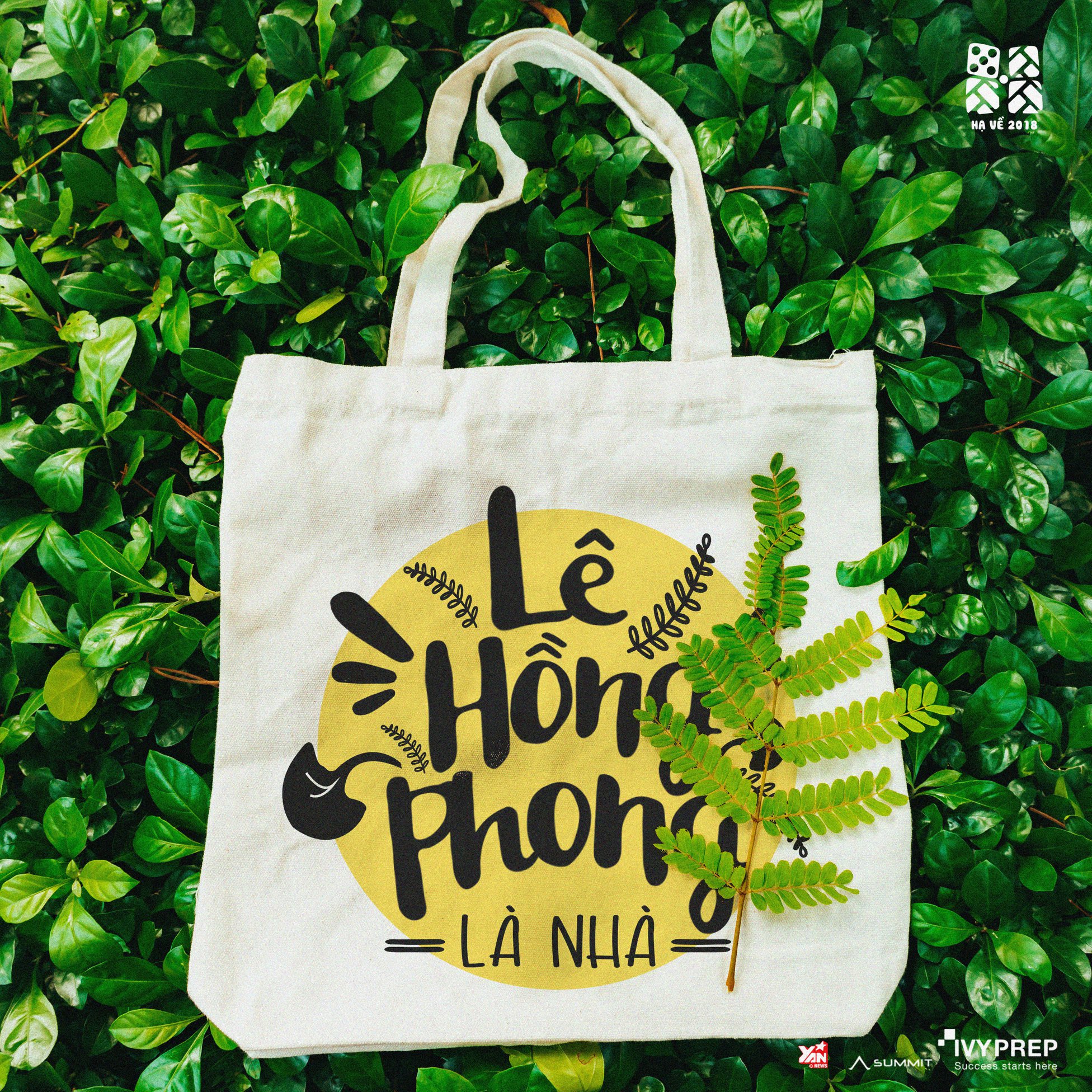 THPT Chuyên Lê Hồng Phong (TP.HCM): Hành trình của 1.000 ngày hạnh phúc - ảnh 10