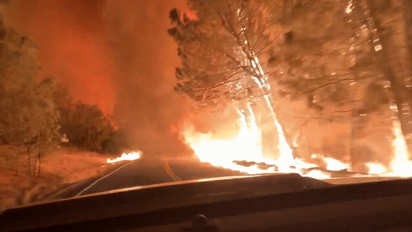 Tài xế lái ô tô băng qua đám cháy rừng 