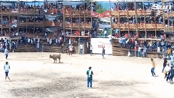 Colombia: Sập khán đài sân đấu bò tót, hàng trăm người thương vong