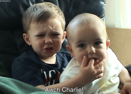 Hai cậu bé trong clip ‘Charlie cắn tay con!’ hút gần 900 triệu lượt xem giờ ra sao?