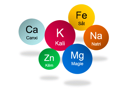 Vai trò và khuyến cáo bổ sung Kali và Magnesi cho cơ thể khỏe mạnh ảnh 1