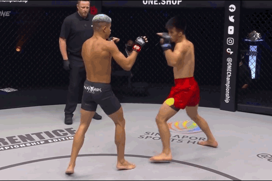 Fabricio de Andrade hạ knock-out đối thủ.