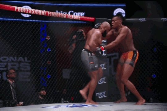 Simeon Powell hạ knock-out Clinton Williams.