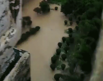 Nước lũ kinh hoàng dưới đập Tam Hiệp của Trung Quốc
