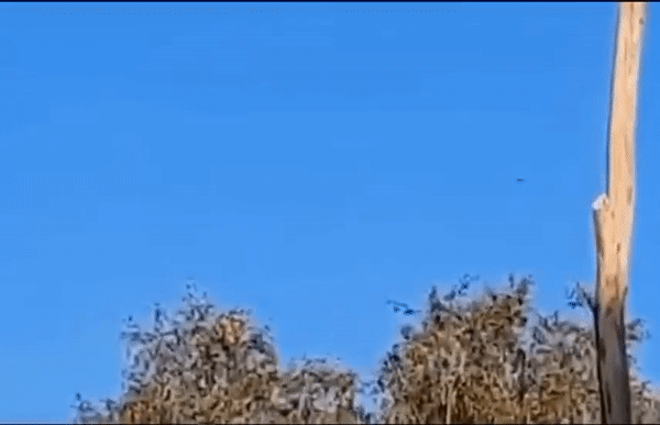 Ukraine tung video bắn hạ UAV Iran nghi được lực lượng Nga sử dụng