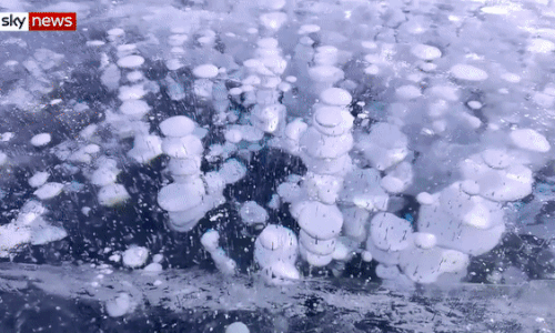 Chiêm ngưỡng hiện tượng bong bóng đóng băng hiếm gặp trong hồ nước