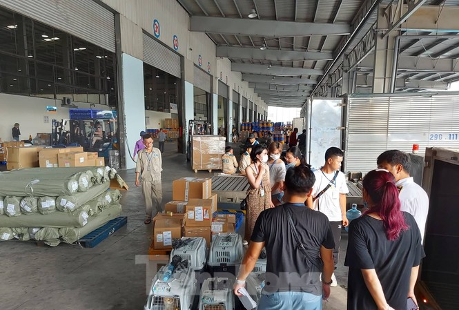 Nghi vấn 'làm luật' ở Hải quan Nội Bài: Đình chỉ 4 công chức Nghi vấn 'làm luật' ở Hải quan Nội Bài: Đình chỉ 4 công chức
