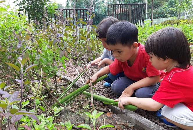 Dạy kỹ năng cho trẻ: Tự phát, không kiểm soát Học sinh tham gia các buổi dã ngoại