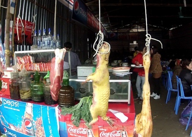 ENV cảnh báo nguy cơ nhiễm COVID-19 khi ăn thịt động vật hoang dã ENV cảnh báo nguy cơ nhiễm COVID-19 khi ăn thịt động vật hoang dã
