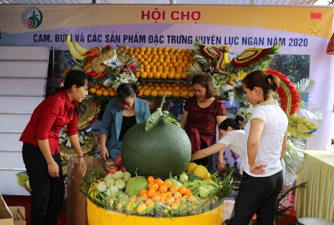 Đặc sắc hội chợ cam, bưởi ở Bắc Giang Hội chợ cam, bưởi huyện Lục Ngạn, Bắc Giang