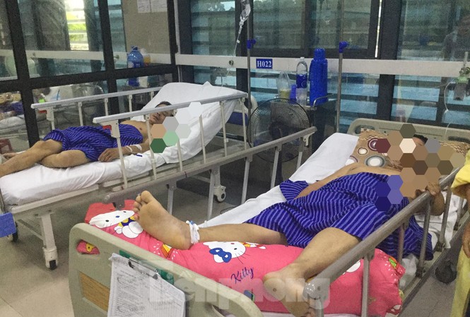 3 người bị hôn mê sâu vì ăn hoa rừng Các nạn nhân ngộ độc, phải cấp cứu tại bệnh viện do ăn hoa chuông rừng .Ảnh: Duy Chiến
