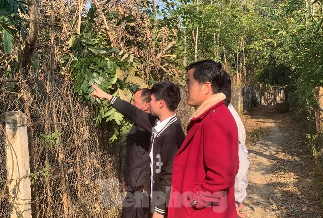 Dự án nghĩa trang gần ĐH Tây Bắc: Bộ GD&ĐT đề nghị UBND tỉnh Sơn La đánh giá tác động toàn diện Nghĩa trang và khu đất quy hoạch của ĐH Tây Bắc chỉ cách nhau con ngõ nhỏ.