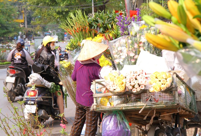 Hoa tươi sau Tết ở Hà Nội rớt giá thê thảm chưa từng thấy