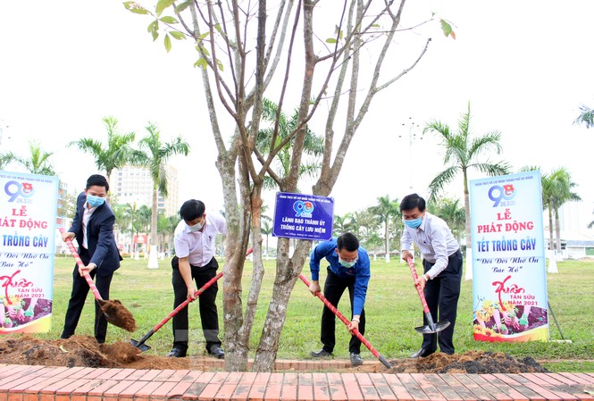 Năm nay, Thành Đoàn Đà Nẵng phấn đầu trồng 50 ngàn cây xanh trên địa bàn, riêng trong Tháng Thanh niên sẽ trao tăng 20 ngàn cây xanh (cây keo) là sinh kế hỗ trợ thanh niên trên địa bàn huyện Hòa Vang lập nghiệp