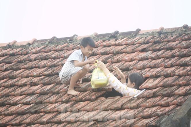Sống trên nóc nhà, người dân Quảng Bình mòn mỏi chờ nước xuống - ảnh 1
