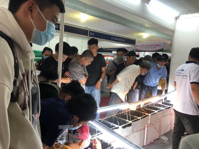Doanh nghiệp nhỏ tìm cách bán hàng mùa dịch COVID-19 - ảnh 2