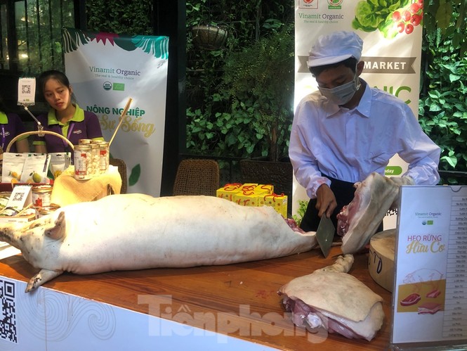TPHCM: Dân nội trợ ‘tranh nhau’ mua heo rừng hữu cơ gần 400.000 đồng/kg - ảnh 1